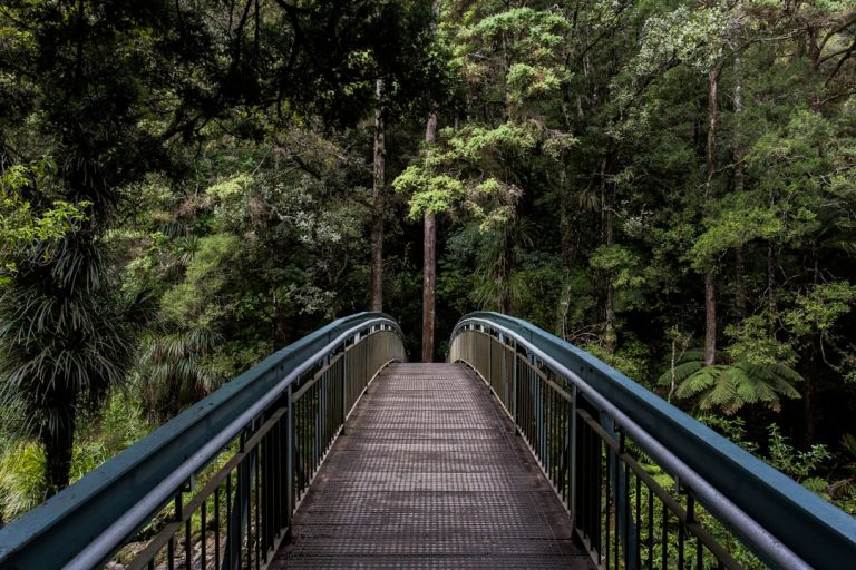 Luxury vs. Affordable Outdoor Escapes: Finding Your Perfect Balance