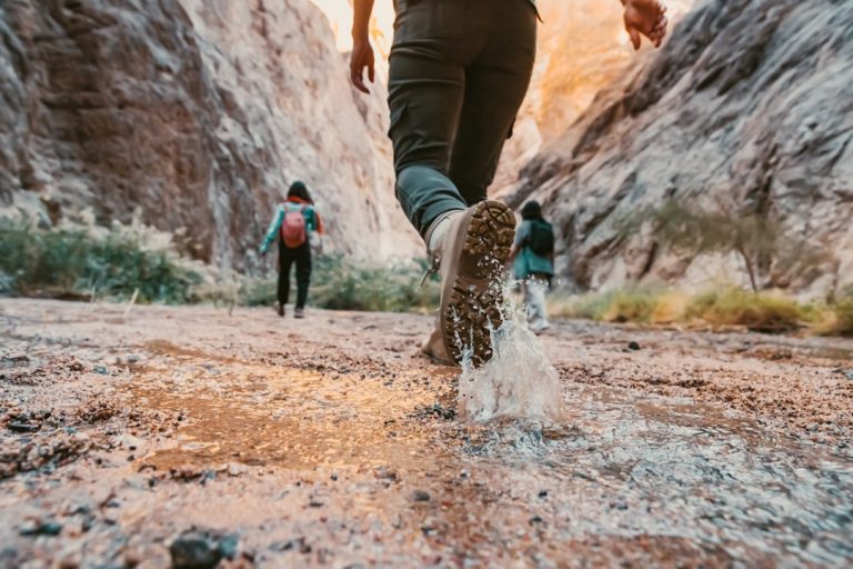 The Art of Eco-Friendly Camping: Embracing Nature Responsibly